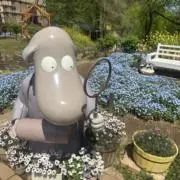 ★の画像