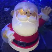 たゆの画像