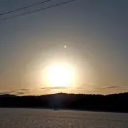 向日葵 なつ