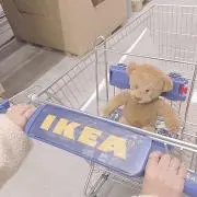ゆりの画像