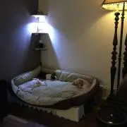 GUの画像