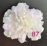 87の画像