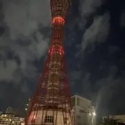 Tomの画像