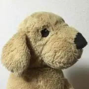 ちぃちぃの画像