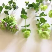 Rちゃん*の画像