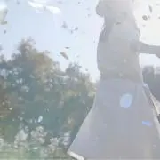 だいこんの画像