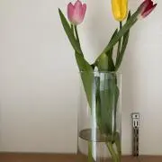 konaの画像