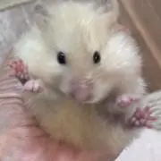 みーすけ　※プロフィールをご一読願います