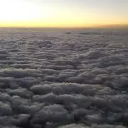 zooの画像