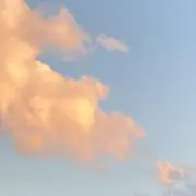 Tの画像