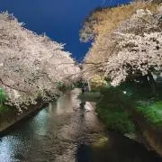 くーてんのりー※プロフ必読！の画像