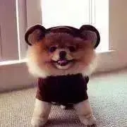SMILEちゃん（即買い大歓迎⭐︎）の画像