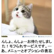 masatoの画像