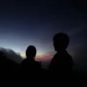 めるの
