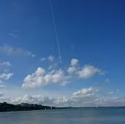 Kokamiの画像