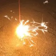 はなの画像
