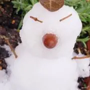 S.K