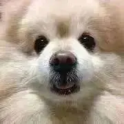 lily (プロフ一読お願い致します)の画像