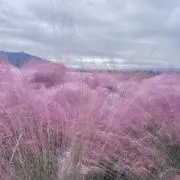 Image of 即日発送いたします！！erigo♧♡♢