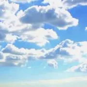 cocoの画像