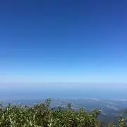 Yuuの画像