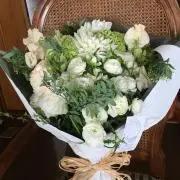 バコレーヌの画像