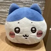 わたわったー