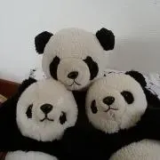 ちろちゃん
