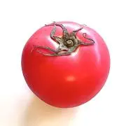 とまとの画像