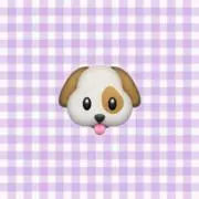 ちょこの画像