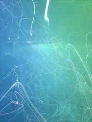 こなちっぷの画像
