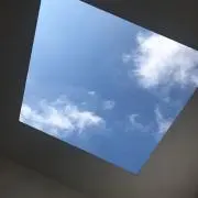 ねぎくりの画像