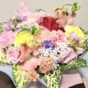 minoの画像