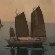 ハトの画像