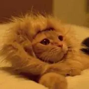 もな