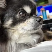 TM∞の画像