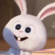 ☾