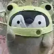 ともぴょんプロフ読んでね(o^^o)の画像