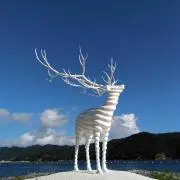 茉莉緒の画像