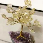 チャクラハウス
