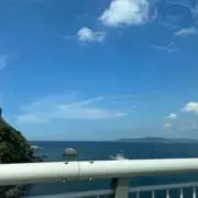 inu