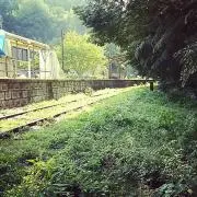 Rママ