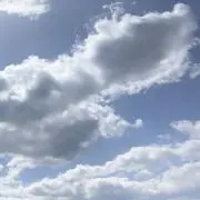海月