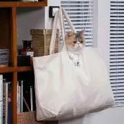 ぴーさん☆の画像