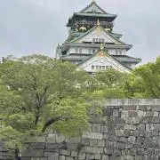 ikkaの画像