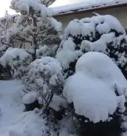 ともともともの画像
