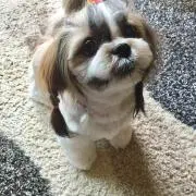 まる