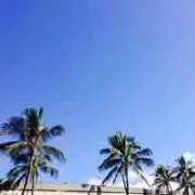 けーだいの画像