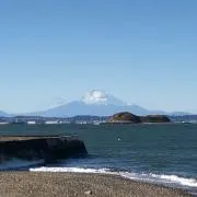 tsyaの画像