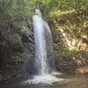 7の画像